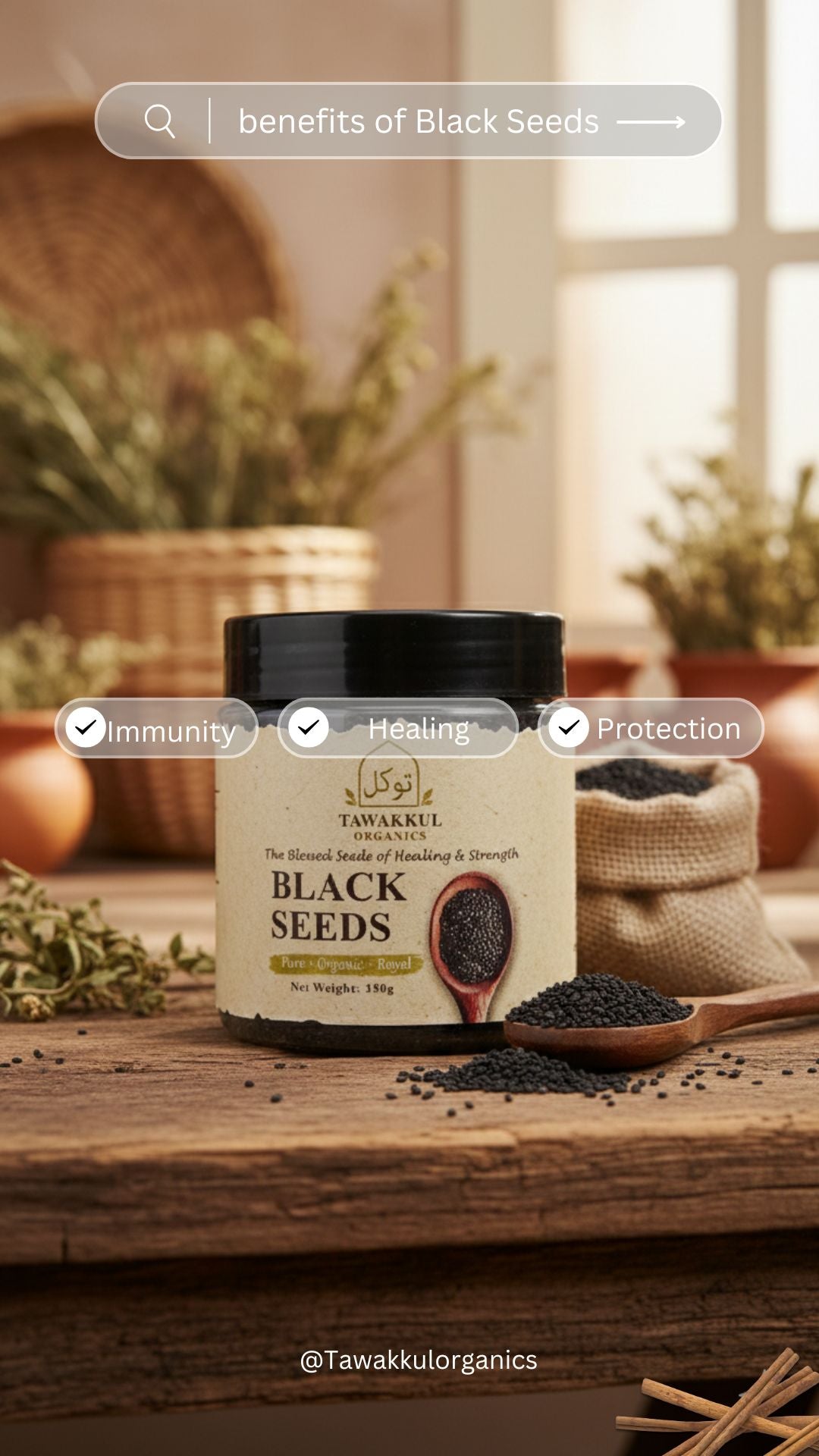 Black Seeds – The Blessed Seeds of Strength & Healing